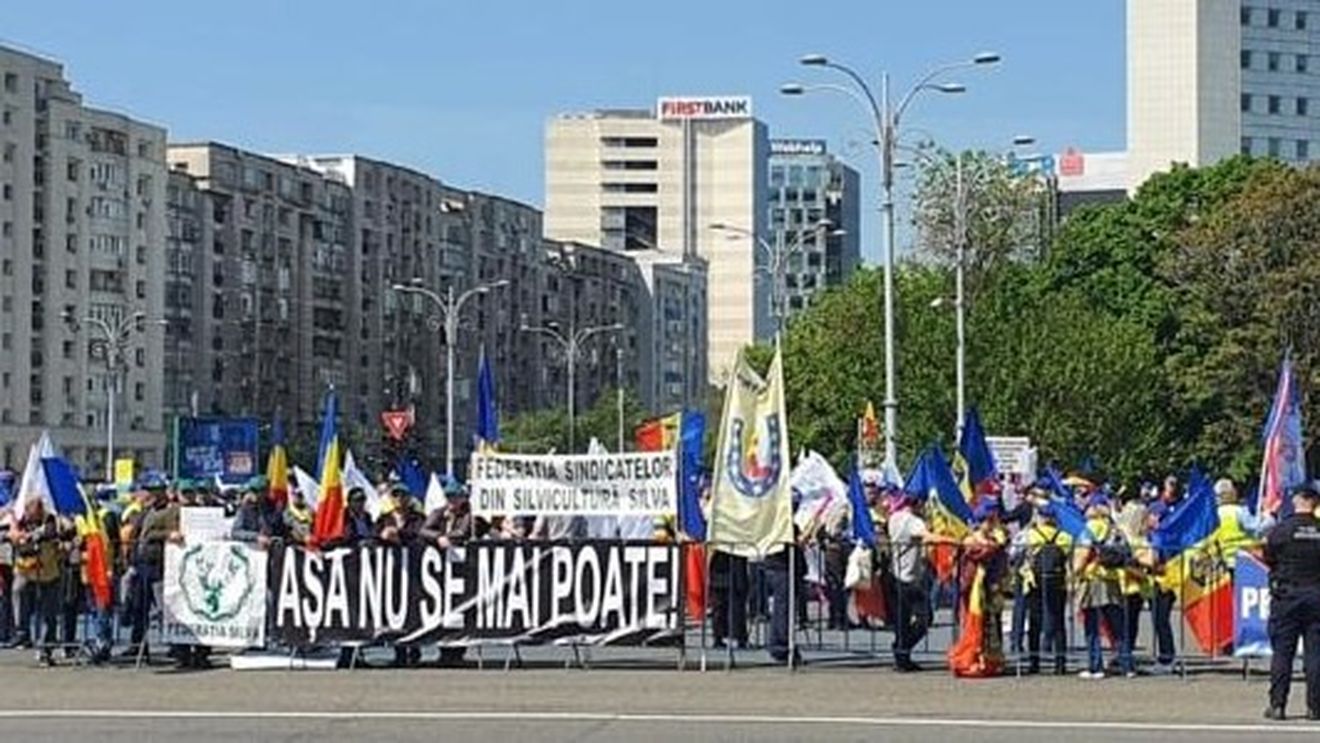Silvicultorii protestează, vineri, în Capitală: „Aşa nu se mai poate” / Solicitările vizează Legea pensiilor şi Codul silvic / La miting se vor alătura şi alte categorii socio-profesionale