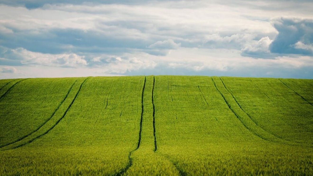 Agrometeo: Culturile agricole se vor afla predominant în starea de repaus vegetativ pe tot teritoriul agricol