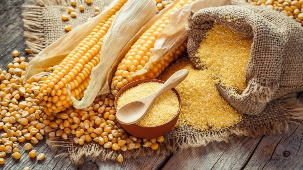 Recolta de porumb a UE va scădea din cauza secetei din România, unde producţia va coborî cu 30% / „Situația în estul Europei este foarte gravă” / „E o provocare să cultivi porumb într-un cuptor”