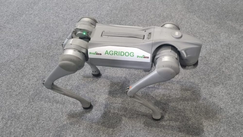 VIDEO | Agridogul, câinele robot care nu mușcă și nu latră, dar care poate fi de real folos agricultorilor / Dezvoltator: „Dacă un fermier îl lansează în cultură, acesta poate depista foarte repede unde sunt probleme, unde sunt dăunători, unde sunt boli și, practic, își reduce foarte mult costurile”