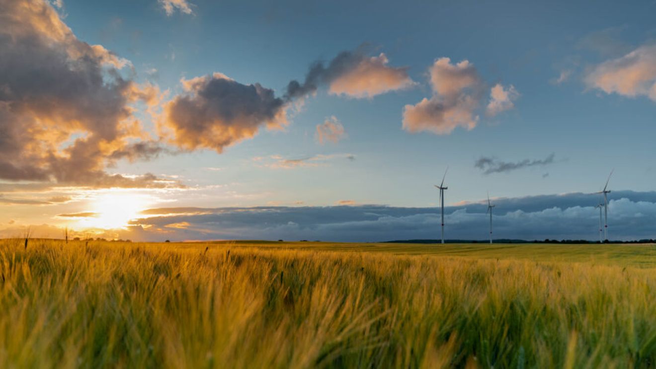 Fermele regenerative au pierdut de trei ori mai puțin din producție în timpul secetei din Franța / Studiul care arată cum poate fi protejată agricultura în fața schimbărilor climatice