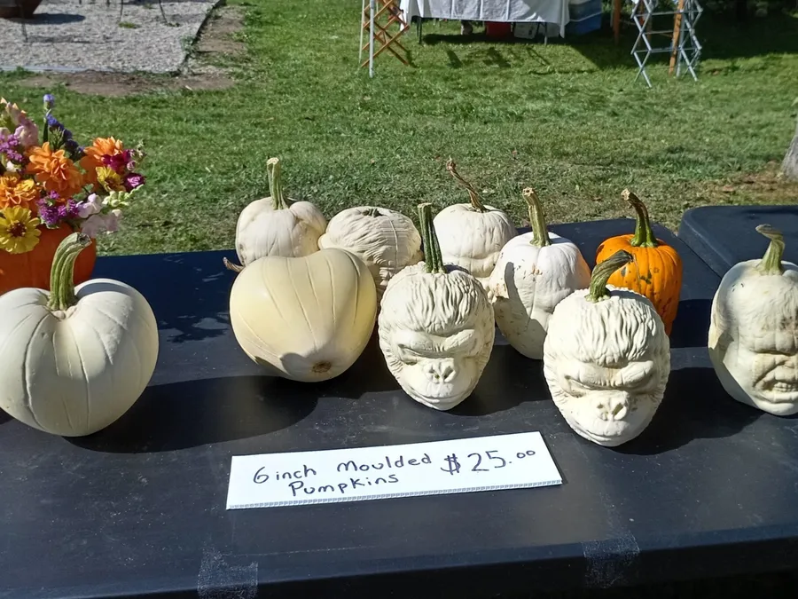 Targ de dovleci in Ontario.