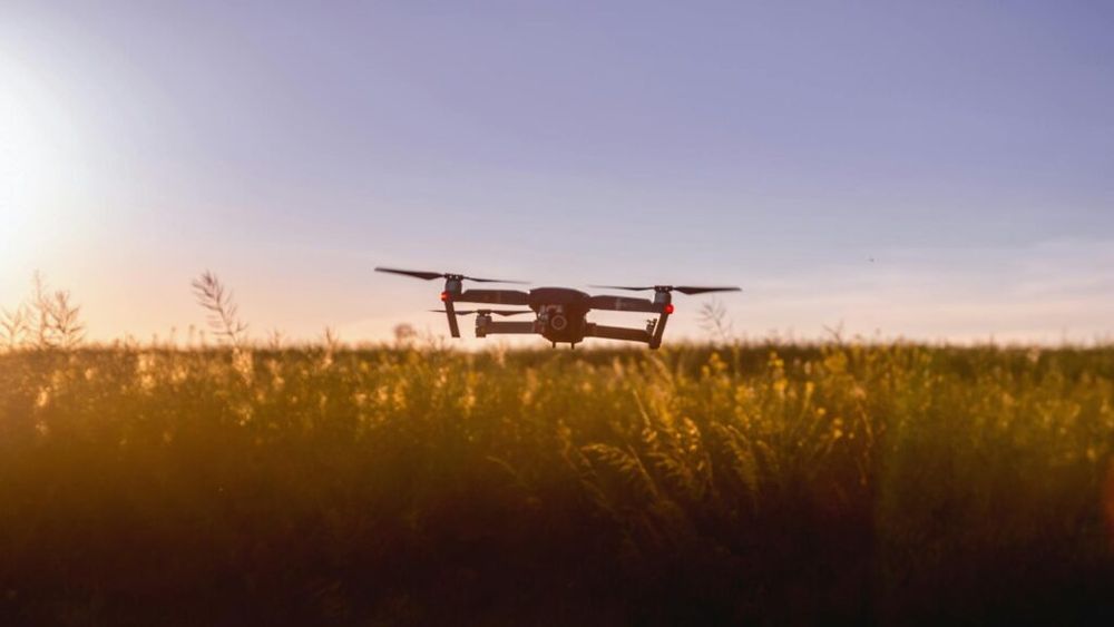 Acest startup ajută plantele să comunice cu fermierii, reducând consumul de pesticide și cantitatea de deșeuri agricole