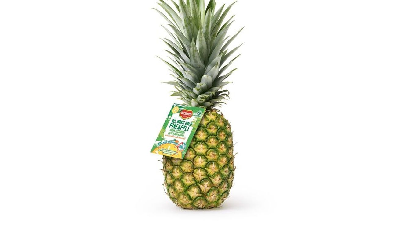 Fresh Del Monte va produce un biofertilizator din deșeuri de ananas