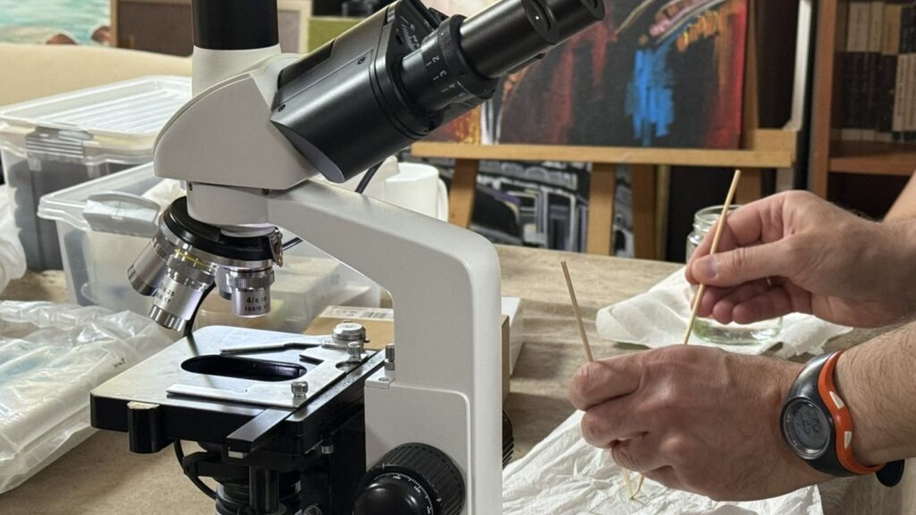 Peste 400 de copii din medii vulnerabile participa la ateliere de știință / Inițiativa face parte din programul educațional „Meniul Zilei de Mâine”, derulat de Sphera Franchise Group și KFC România în parteneriat cu Bucharest Science Festival