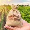 AFIR lansează ghidul pentru investițiile în energie verde din ferme și industria alimentară / Fermierii care investesc în energie regenerabilă pentru autoconsum primesc un nou ghid oficial de achiziții
