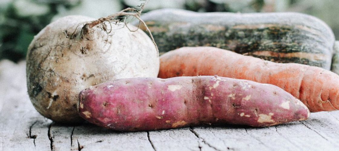 8 legume pe care bunicii le păstrau toată iarna fără borcane și congelator. Se pot cultiva și depozita luni întregi