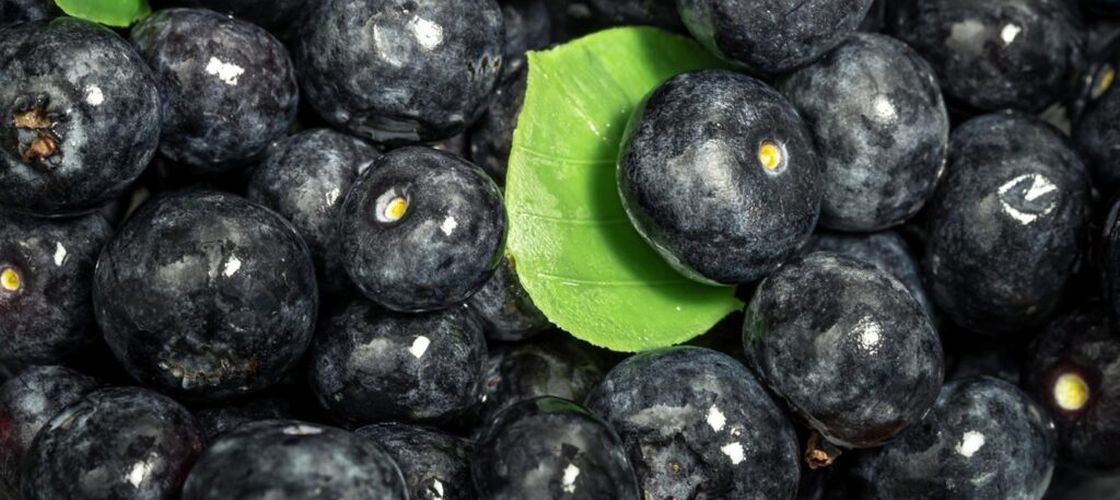 Sucul de aronia, fructul numit și „aur negru”, are efecte asupra glicemiei și tensiunii / Un nou studiu arată și un posibil rol important în echilibrul microbiomului intestinal