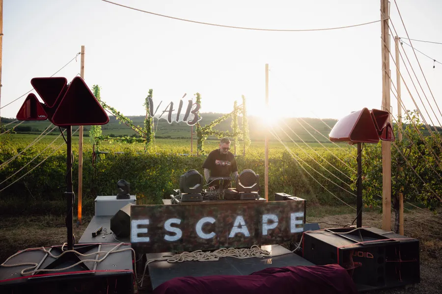dj-la-petrecerea-vaib-escape-in-via-cramei-3-conace