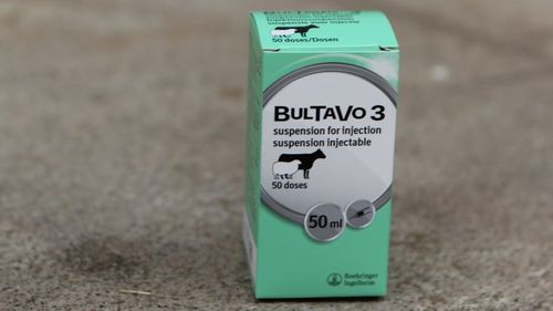 Vaccinul BULTAVO® 3, împotriva virusului limbii albastre, a fost autorizat în Regatul Unit și Irlanda/ Peste 40 de milioane de doze au fost distribuite deja, în Europa