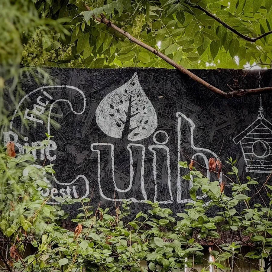 vegan, restaurante, top5, România