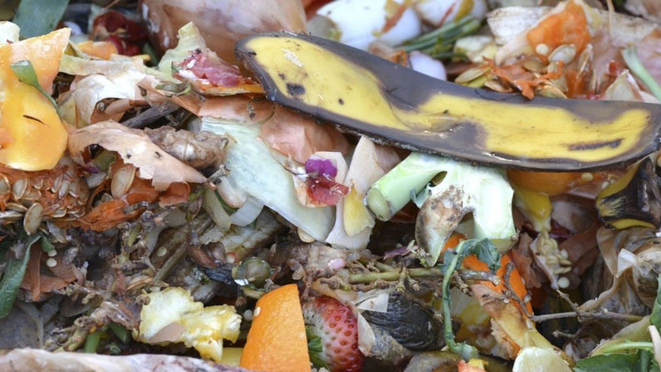 Fenomenul „Food Waste”: Cum să reduci risipa alimentară acasă / Cinci sfaturi simple pe care să le aplici zi de zi