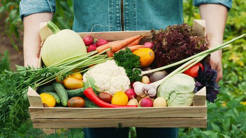 6 legume care cresc rapid în mai puțin de 60 de zile / Ce poți planta în septembrie pentru o ultimă recoltă de toamnă