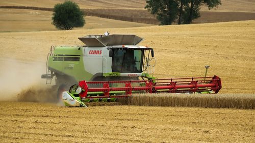 INS: Exporturile de cereale ale României au scăzut cu mai mult de 4% în 2023