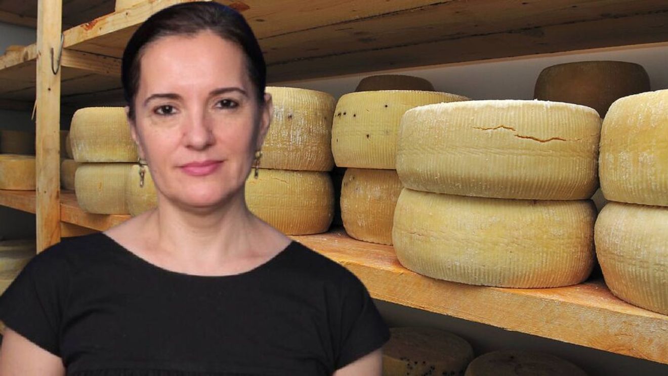 Cum alegem un cașcaval de calitate? Tania Fântână (nutriționist): Verifică eticheta: dacă primele ingrediente sunt „ulei de cocos” și „amidon modificat”, este un semn clar că nu este un aliment sănătos