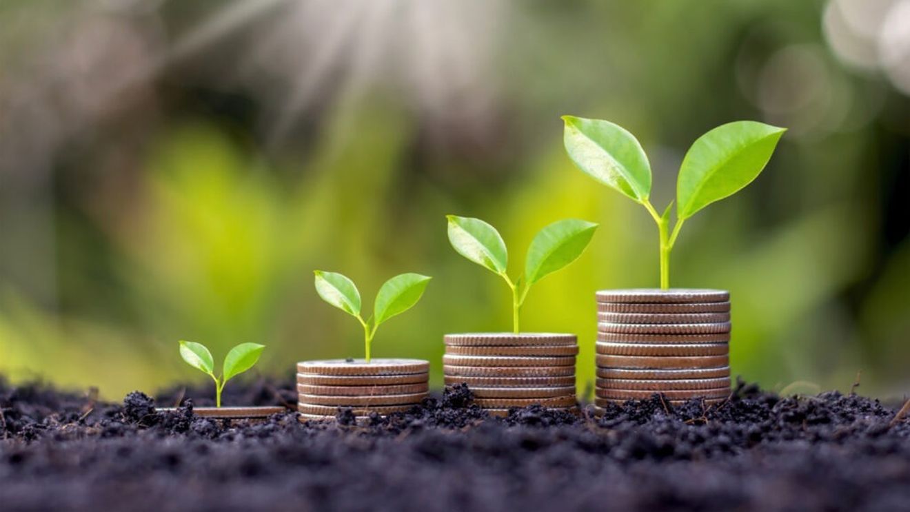 Agenţia pentru Finanţarea Investiţiilor Rurale primeşte cereri de finanţare pentru submăsura 17.1- Prime de asigurare a culturilor, a animalelor şi a plantelor, începând de joi