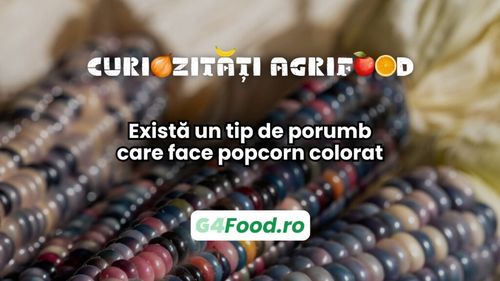 Curiozități agri-food 24 ianuarie: Există un tip de porumb cu boabe colorate, fără modificări genetice