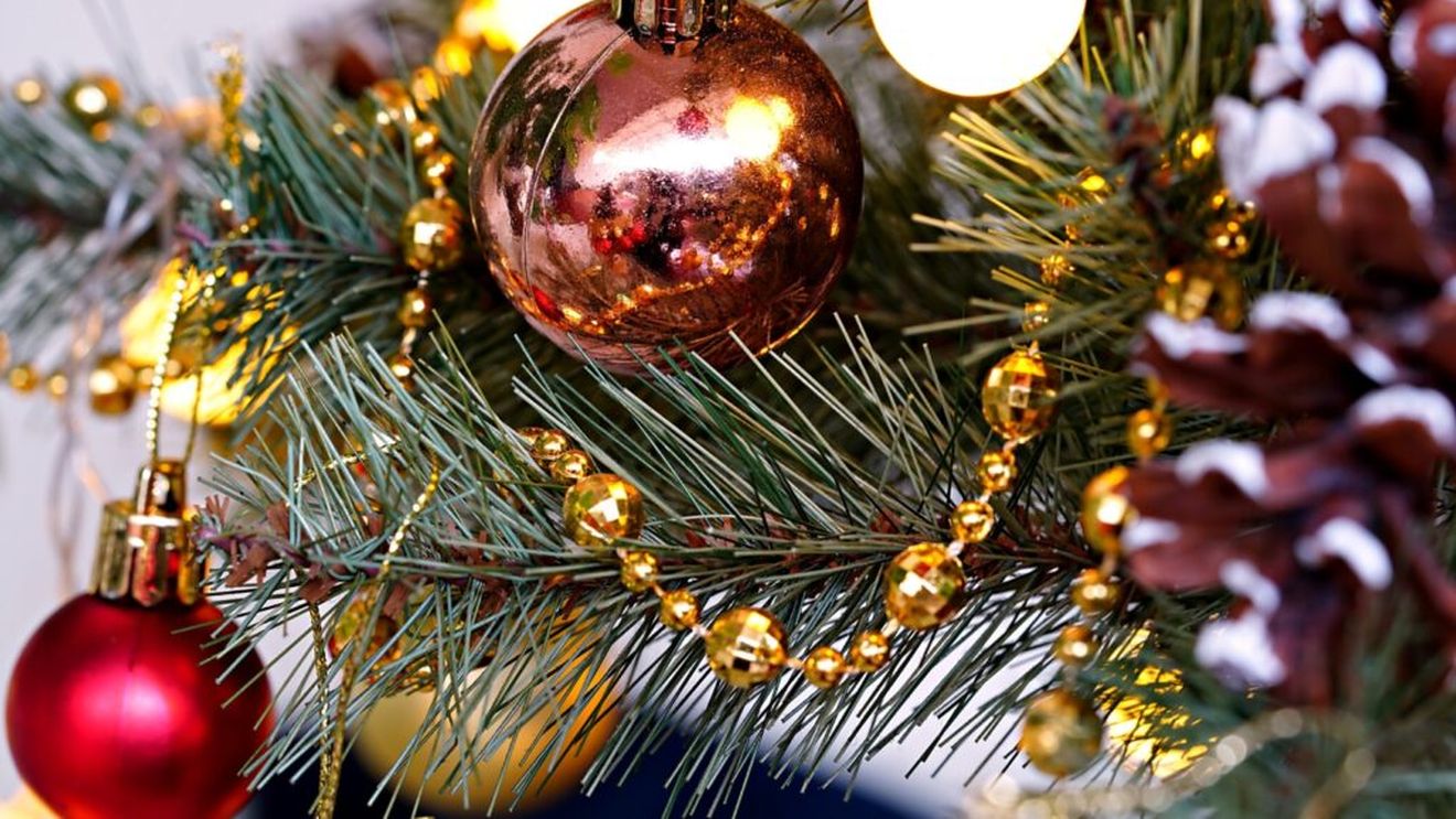 Avertisment bizar al Agenției Federale pentru Siguranța Alimentară din Belgia: „Nu mâncați brazii de Crăciun!” / Cum s-a ajuns în această situație