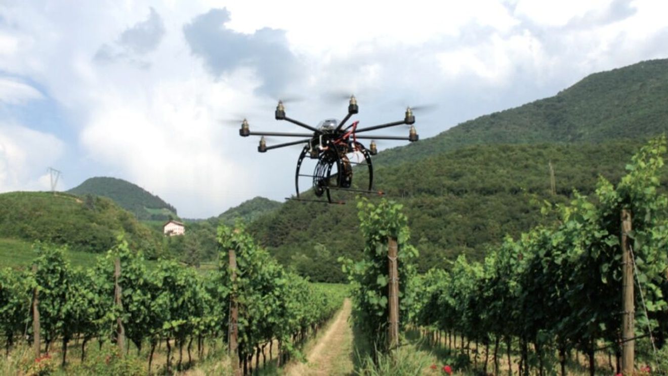 Cum pot ajuta dronele plantațiile de vie și care sunt deocamdată limitele lor
