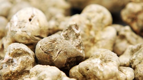 Zece mâncăruri disprețuite care au devenit delicatese / De la hrană pentru săraci la simboluri ale rafinamentului culinar