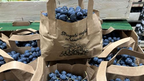 Fructele și legumele ambalate, tot mai căutate de clienți, preocupați de igienă și siguranță alimentară, după pandemia Covid - 19/ Cota fructelor ambalate în vânzările cu amănuntul în Italia a fost anul trecut de aproape 38%, iar valoarea acestora, cu 45% mai mare