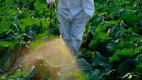 Comisia Europeană recunoaște blocajele din autorizarea pesticidelor și pregătește reguli mai stricte / Oficial: „Sistemul trebuie ajustat pentru a funcționa mai bine”