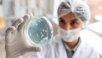 DSP Bihor a finalizat ancheta privind focarul de Salmonella dintr-o școală din Oradea / Alimentația a fost exclusă ca sursă a infectării