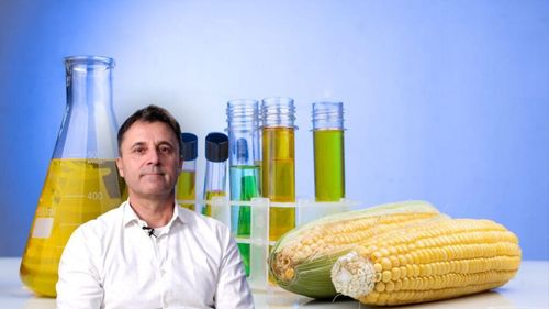 Video | Bayer lansează 18 hibrizi noi de porumb, rezistenți la secetă! / Gábor Raviczki: „Ne ia mai mult de 5 ani pentru dezvoltarea unui nou hibrid, cu investiții de peste 20 de milioane de euro”