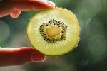 Kiwi-ul verde, primul fruct proaspăt pentru care UE autorizează o mențiune de sănătate privind funcția intestinală / Decizia vine după mai mulți ani de cercetări și evaluări științifice