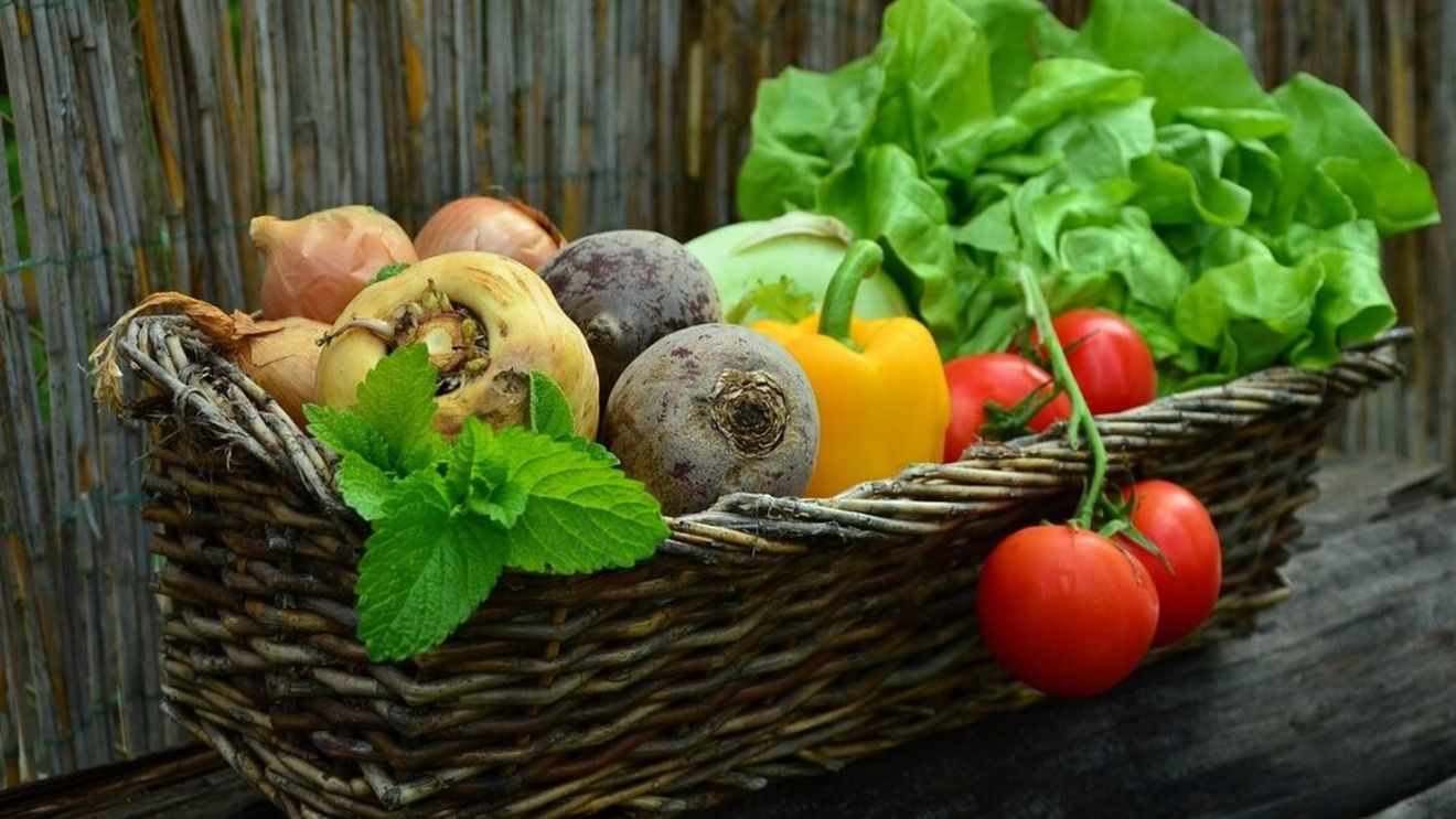 Care alimente trebuie ținute în frigider și care în cămară? Minighid ispirat din normele profesionale de conservare din HoReCa