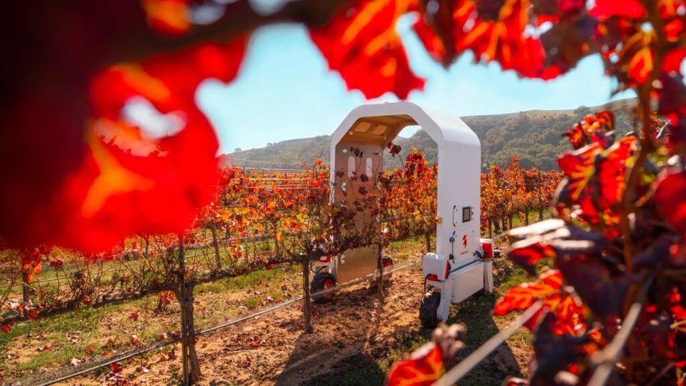 Thorvald, robotul autonom care schimbă modul în care se face agricultura