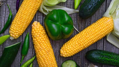 Valoarea producţiei ramurii agricole a crescut în anul 2023 cu 0,6%, la 109,89 miliarde lei, anunță INS