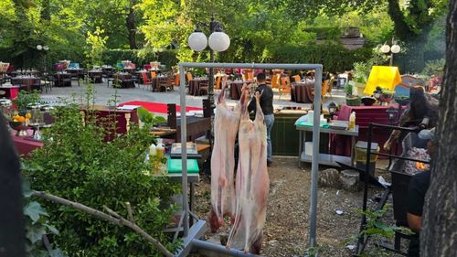 Miei la proțap pe lista preparatelor servite la ziua de naștere a lui George Simion/ Petrecerea a avut loc la Casa Lido administrată de Mohamed Murad, coleg de partid cu sărbătoritul: „A primit un preț mai special”/ Liderul AUR neagă că și-a serbat aniversarea