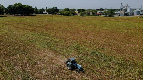 Agricultură și biodiversitate: România cere reguli europene adaptate realităților din ferme