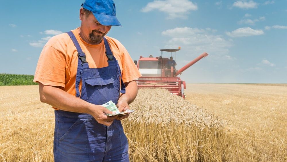 APIA: Peste jumătate de milion de fermieri, autorizaţi în avans la plată în Campania aferentă anului de cerere 2025