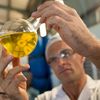 Biocombustibilii revin în atenția UE. Pot câștiga fermierii europeni din noua strategie energetică?