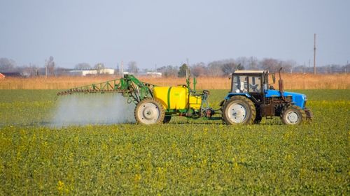 VIDEO | Fertilizantul care poate aduce un plus de 100 euro pe hectar / Gabriel Stoian: „Aplicat în condiții de secetă, poate prelungi vegetația iar planta să rămână verde încă 2-3 săptămâni”