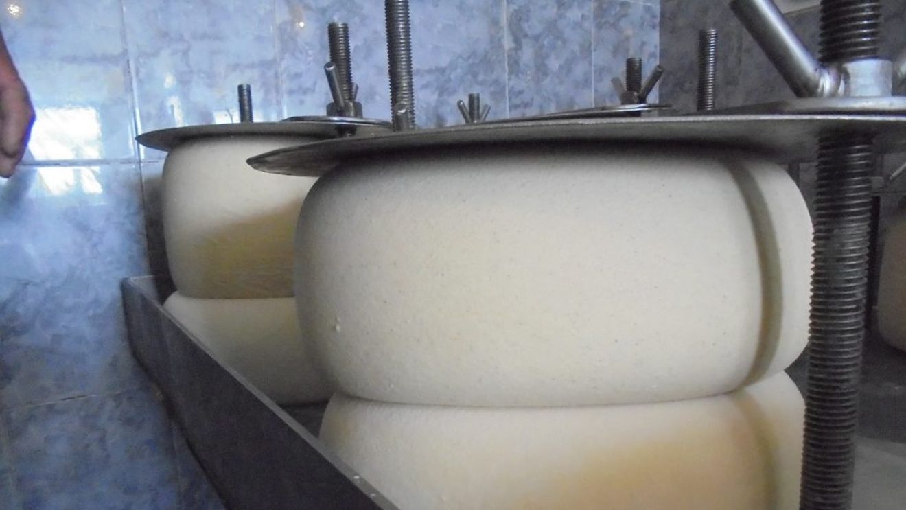 Asociația Profesională a Ciobanilor răspunde acuzațiilor publice făcute recent de Dorin Cojocaru, președinte al Patronatului Românesc al Laptelui