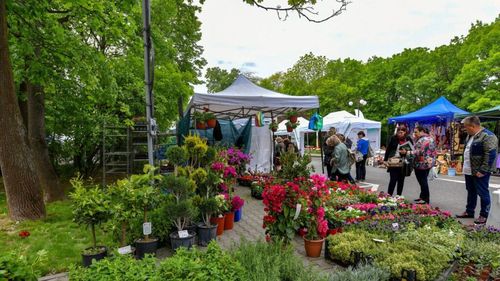 Zilele Horticulturii Bucureştene: Peste 80 de expozanţi vor participa la cea de-a 20-a ediţie a evenimentului