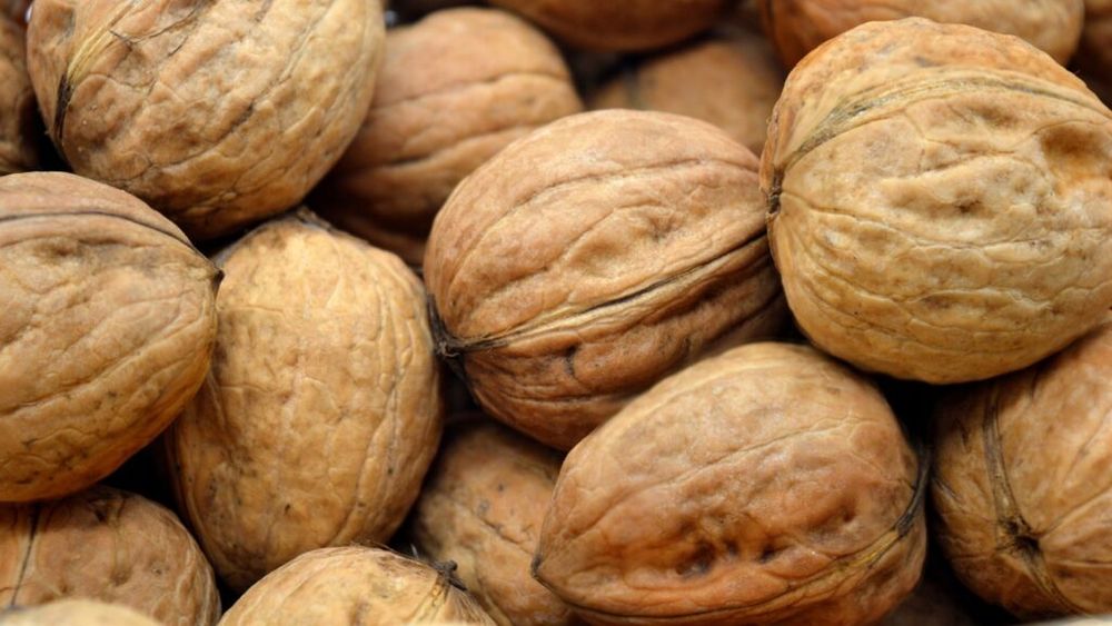 Cel mai mare exportator de nuci din România, controlat de un grup din Turcia, concediază 57 de angajați