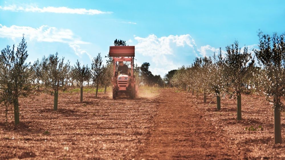 OPINIE. Agricultura Spaniei: Diversitate climatică, tehnologii avansate și exporturi de succes / ”Piața spaniolă a forței de muncă în agricultură are un mare deficit, este nevoie de lucrători din alte țări pentru a acoperi cererea”