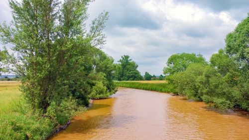 Râurile Marii Britanii, sufocate de un cocktail chimic periculos / Pesticide, antibiotice și alte substanțe chimice din apele britanice amenință ecosistemele