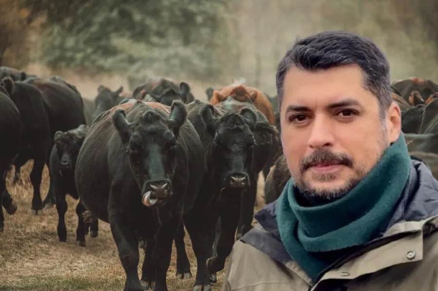 angus-farm-stefan-barbulescu-carne-de-vita-angus-aberdeen-angus-carne-grass-fed-100-grass-fed-vita-crescuta-pe-pasune-pasunat-regenerativ-ferma-de-vite-carne-de-vita-friptura-de-vita-carne-premium-restaurante-michelin-chefi-bucatarie-gastronomie-romania-ferma-romaneasca
