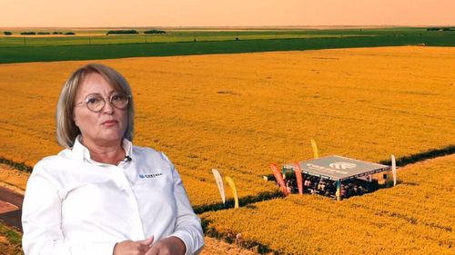 Video | Maria Cîrjă: ”La 40 grade, nici măcar suprafețele irigate nu pot rezista/ Grăunțele de polen nu rezistă la o temperatură mai mare de 34-35 grade”