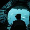 Ce mănâncă marinarii care petrec până la 90 de zile într-un submarin. Cum arată meniul sub apă