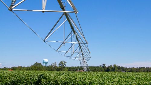 Reducerea debitelor pentru irigații, prima măsură luată de autorități, în caz de secetă hidrologică/Culturile de legume, excluse de la restricții/Cum sunt reduse debitele de apă pentru utilizatori