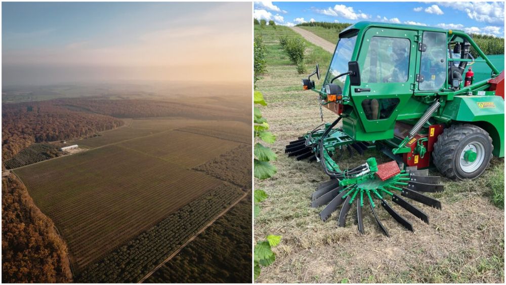 VIDEO Satu Mare: Producătorul Allu se pregătește să folosească un vehicul de peste 120.000 de euro pentru a culege alune de pădure bio / Mașina compensează deficitul de forță de muncă