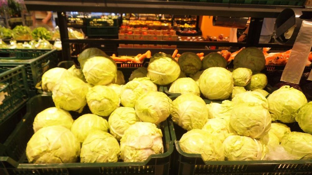 Cererea pentru varza poloneză, sub așteptări. Producție mare, consum intern slab în 2025 / „Unii cultivatori au ajuns chiar să distrugă marfa”