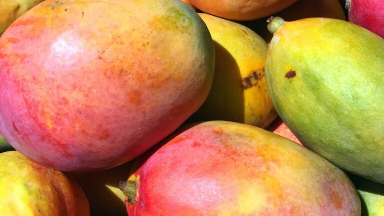 La ce temperatură trebuie păstrat mango ca să reziste mai mult. Greșeala care îl face să se strice mai repede