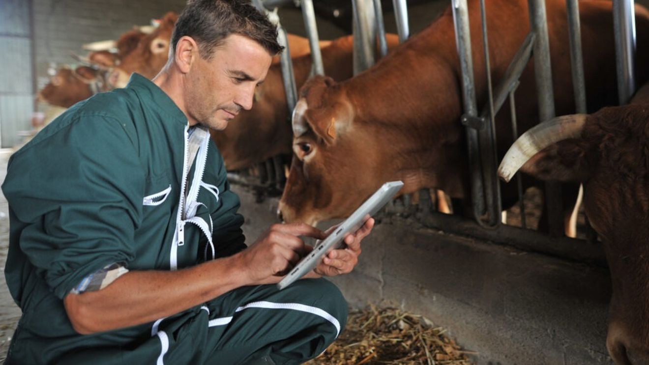 FOTO | Seria a V-a a programului de perfecționare managerială „Antreprenor în Agricultura 4.0”, lansată de Clubul Fermierilor Români: „Agricultura românească are nevoie de lideri”